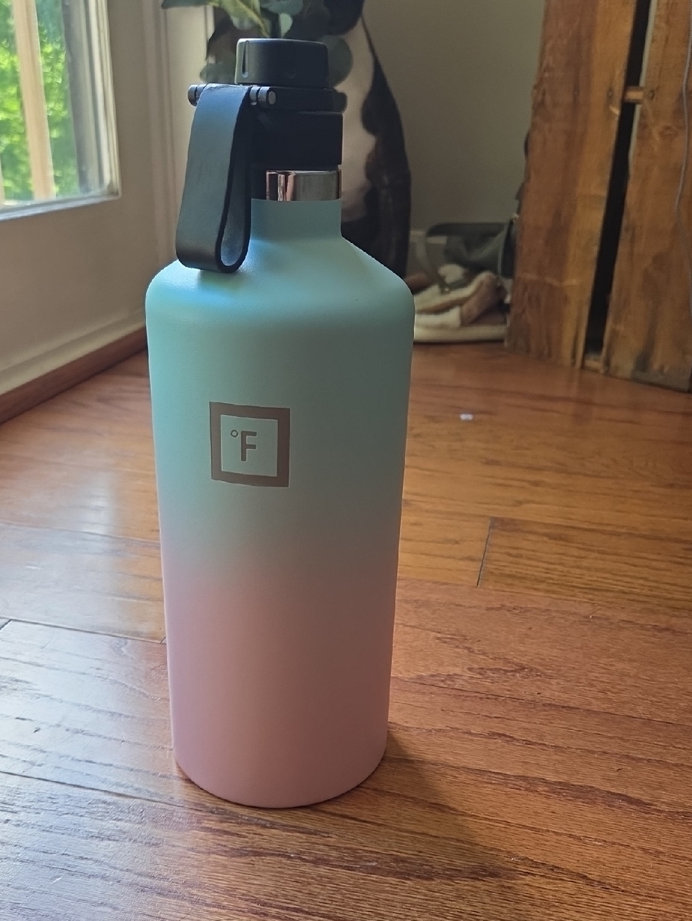 Ombre Stainless Water Bottle - Mint to Pink